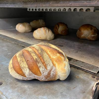 gallery photo number 3