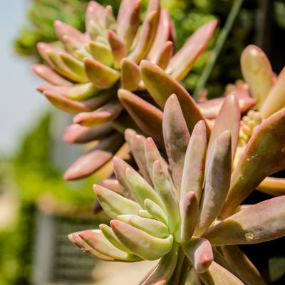 gallery photo number 117