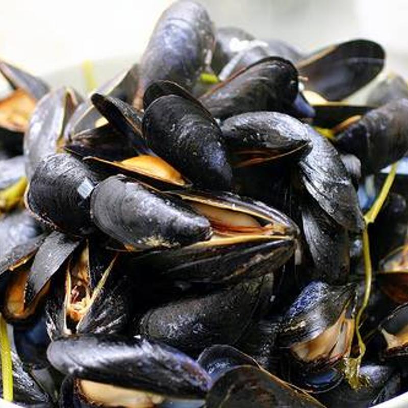 Steamed Mussels photo