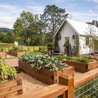 A quaint white cottage surrounded by lush gardens in wooden raised beds