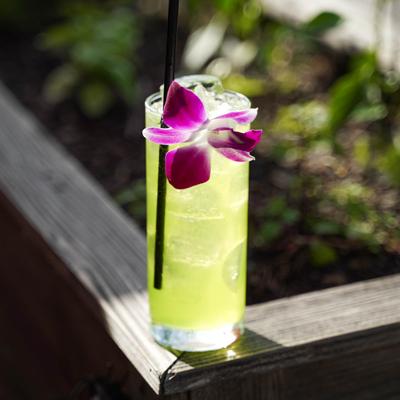 Iced green cocktail in a tall glass garnished with a purple orchid.