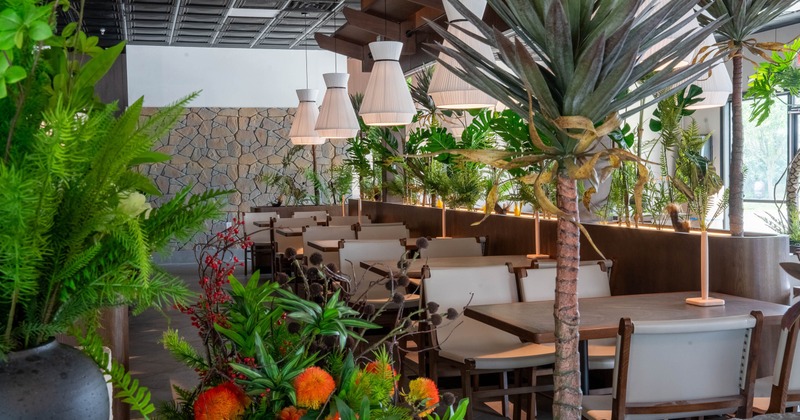 Interior, seating area decorated with plants