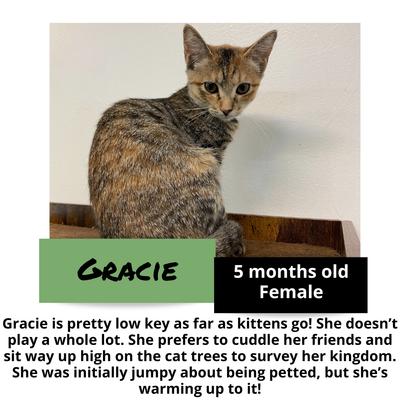 gallery photo number 16