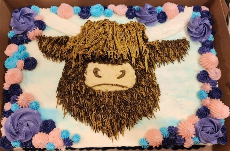 The Knock Shoppe’s Country Cakes Highland Cow Buttercream  Workshop event photo