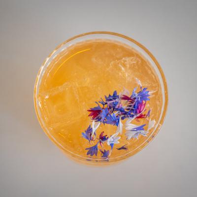 gallery photo number 12