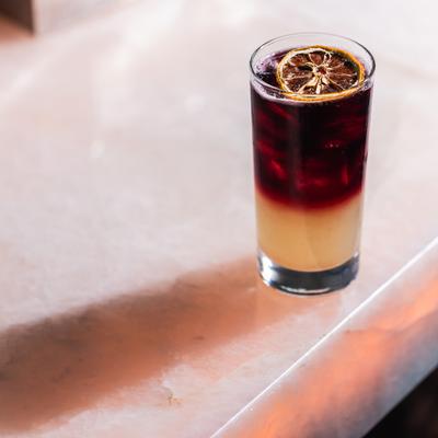 Berry Lift cocktail garnished with dried lemon wheel.