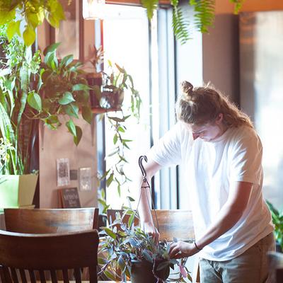 A person tends to a potted plant in a sunlit room filled with lush greenery.