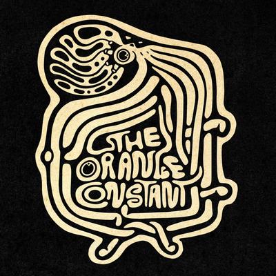 gallery photo number 172