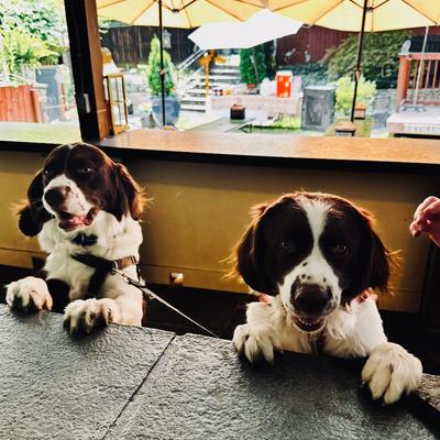 gallery photo number 33