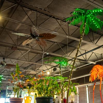 gallery photo number 3