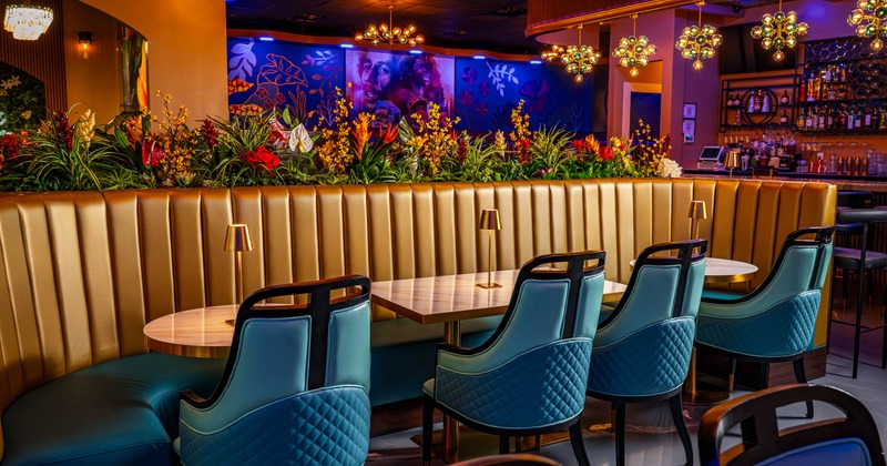 Interior, tables and seats
