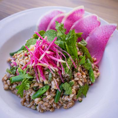 gallery photo number 70