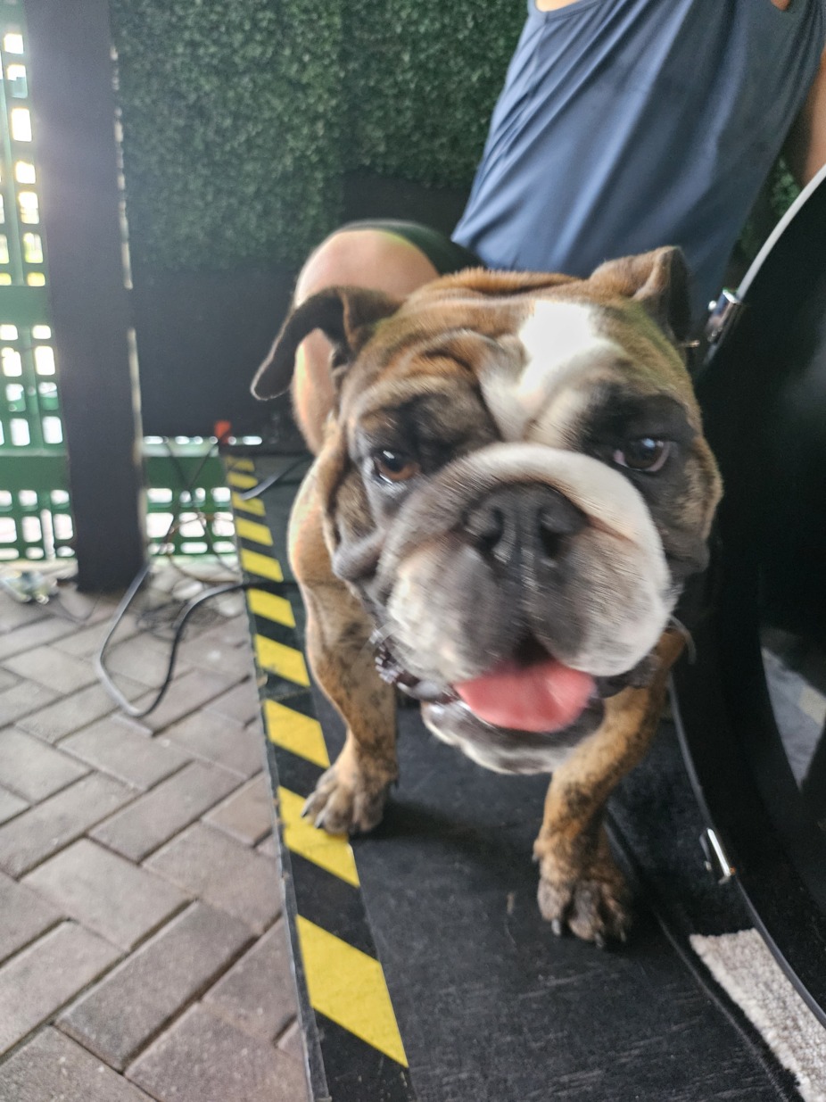 Otis & The Beachcombers event photo