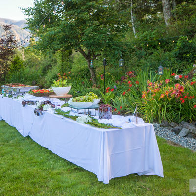 Dishes on the table lined up with garden in the back