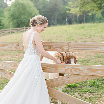 gallery photo number 12