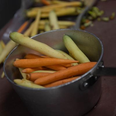 gallery photo number 116