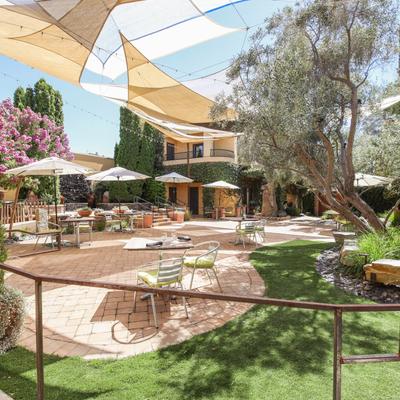 Beautiful outside area with evergreen and deciduous trees, parasols and sun shades