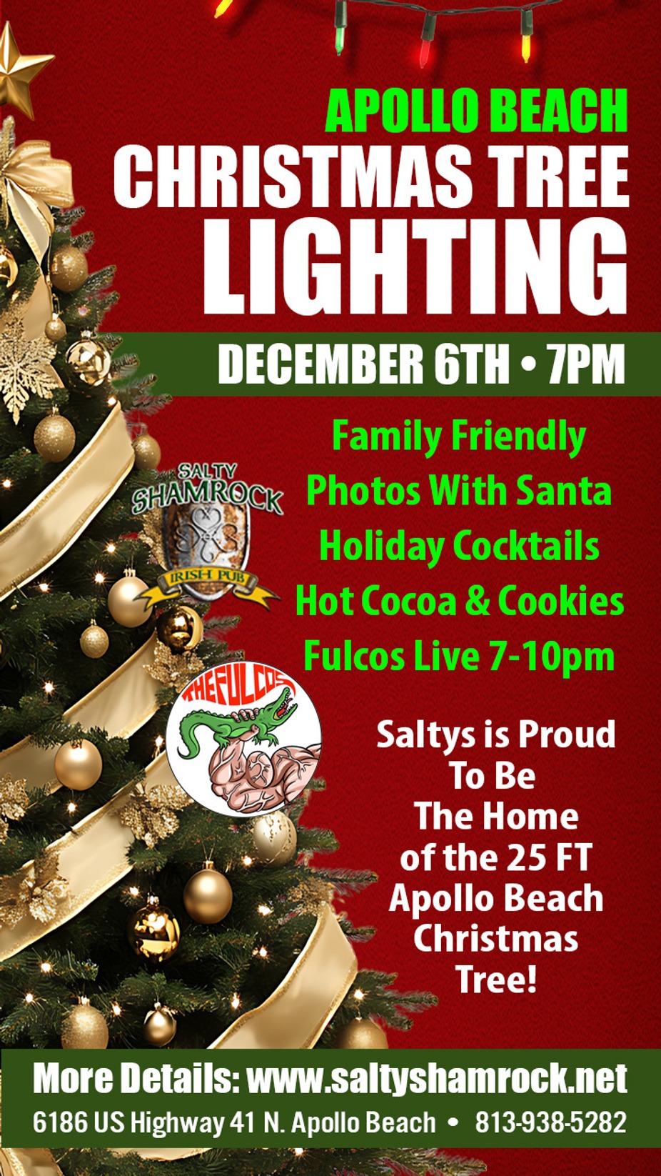 APOLLO BEACH TREE LIGHTING event photo