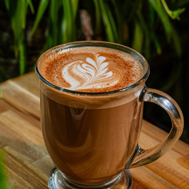 Mushroom Cacao photo