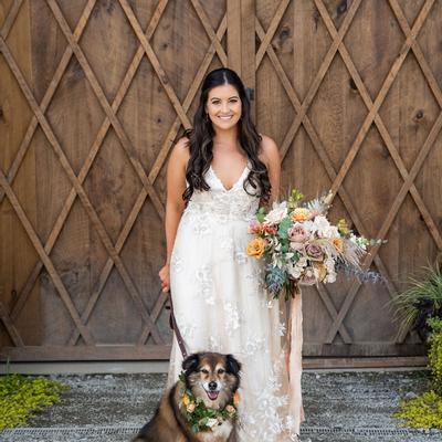 gallery photo number 15