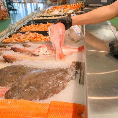 gallery photo number 10