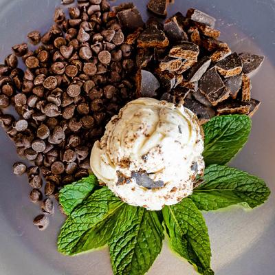 A scoop of ice cream sits on fresh mint leaves, surrounded by chocolate chips and chunks.