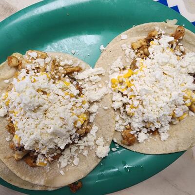 gallery photo number 184