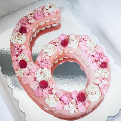 Number 6 birthday macaron cake.