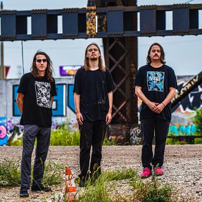 gallery photo number 563