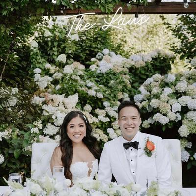 gallery photo number 238