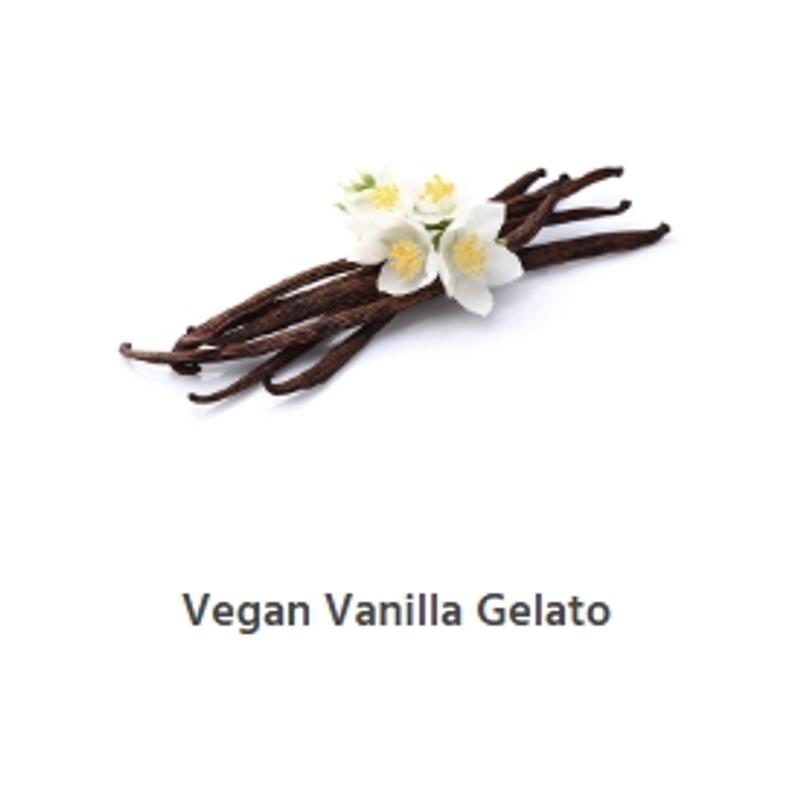 Vegan Vanilla Gelato photo