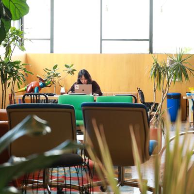 Person working on laptop in cafe seating area with numereus potted plants.