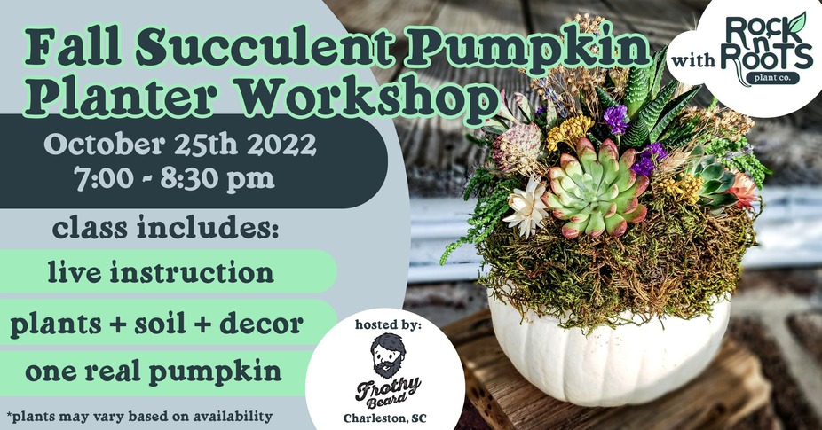 Fall Succulent Pumpkin Planter Workshop at Frothy Beard Brewing Company event photo