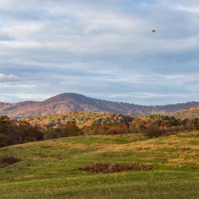 event calendar flyer 1