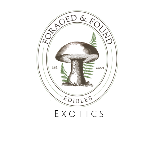 Foraged and Found Edibles - Mushrooms and foraged ingredients, exotics photo