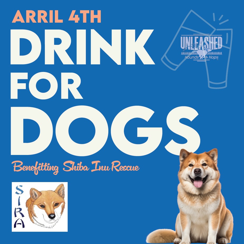 Drink for Dogs- Shiba Inu Rescue Association event photo