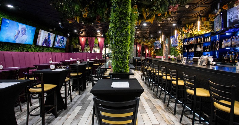 Seating and bar areas