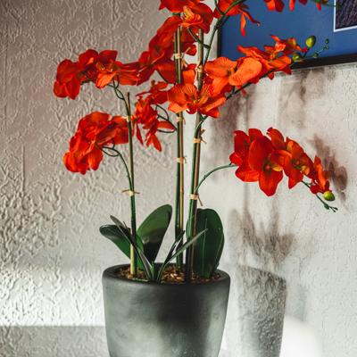 gallery photo number 81