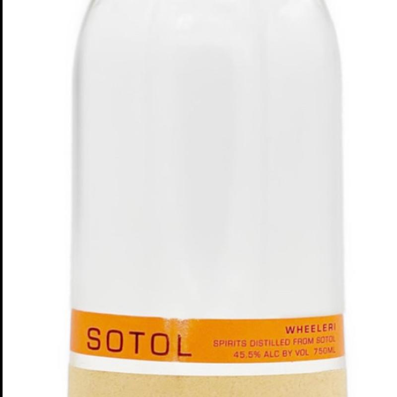 Quechol Sotol Wheeleri photo