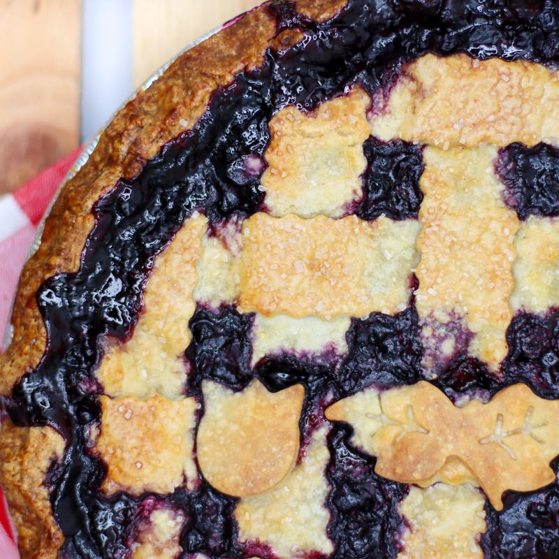 Wild Maine Blueberry photo