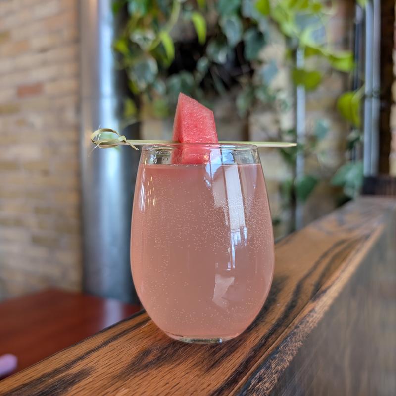 Mimosa of the Month photo