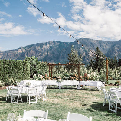 gallery photo number 263