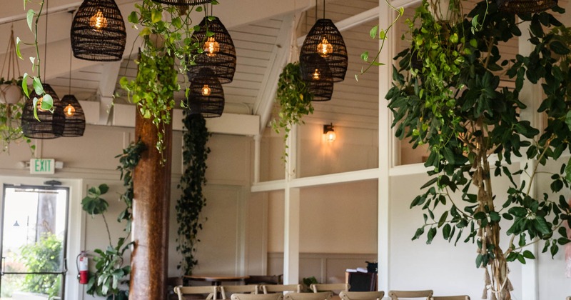 Interior, tables and chairs read for guests