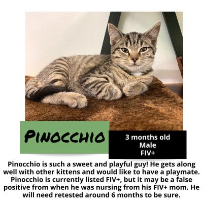 gallery photo number 8