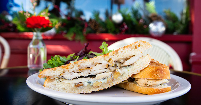 Chicken sandwich closeup