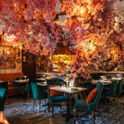 gallery photo number 1