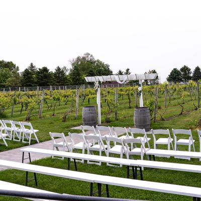 Chairs and Benches in the ceremony space in the vineyard at Next Chapter Winery.