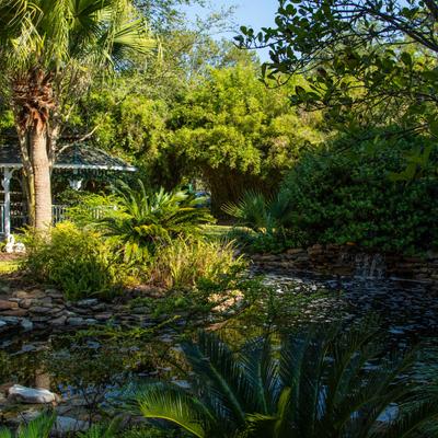 gallery photo number 24