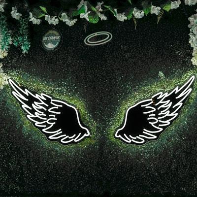 Angel wings neon sign.