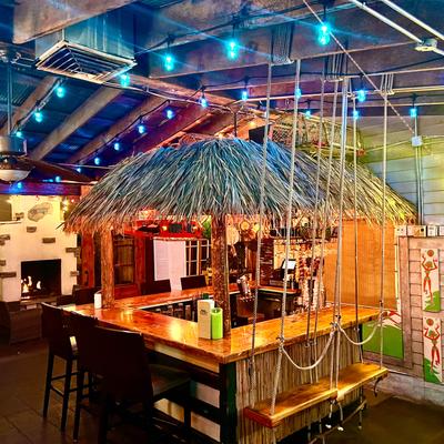 Interior, bar area, with palm thatch roofing.